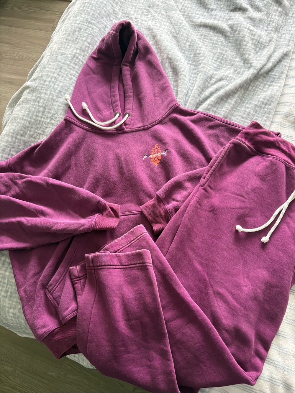 Free People Hoodie and Sweat Set